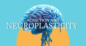 Understanding Addiction and Neuroplasticity